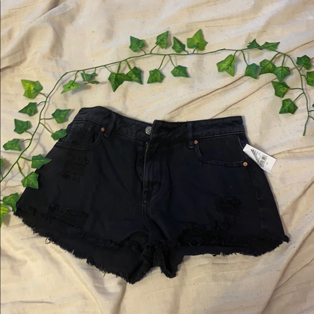 Pacsun High Rise Festival Shorts